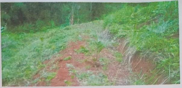 C:\Users\Lavinia Pde\AppData\Local\Microsoft\Windows\INetCache\Content.Word\IMG_20220418_125824.jpg